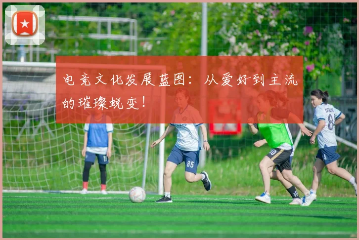 电竞文化发展蓝图:从爱好到主流的璀璨蜕变!