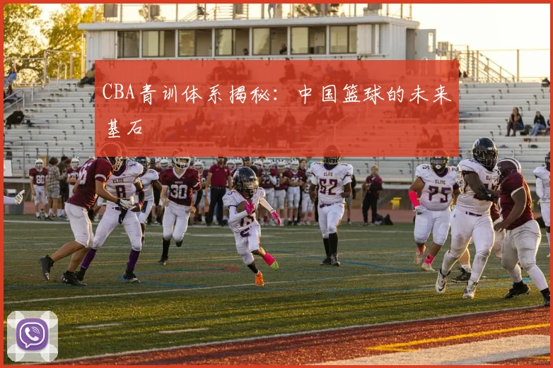CBA青训体系揭秘:中国篮球的未来基石
