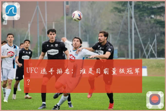UFC 选手排名：谁是目前量级冠军？