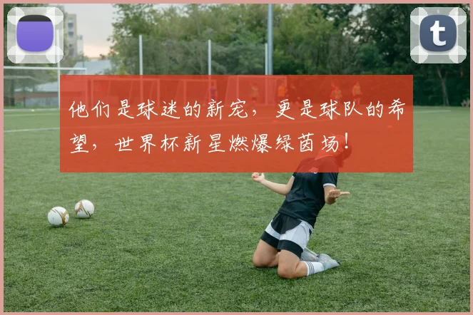 他们是球迷的新宠,更是球队的希望,世界杯新星燃爆绿茵场!