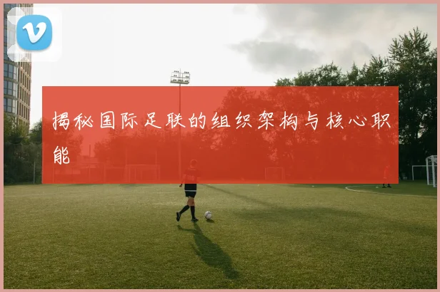 揭秘国际足联的组织架构与核心职能