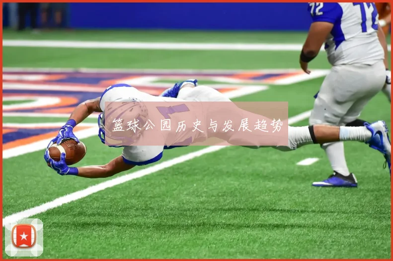 篮球公园历史与发展趋势